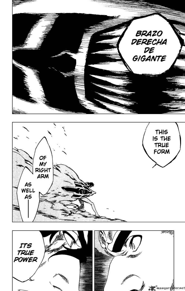 Bleach - Chapter 260 : Right Arm Of The Giant2