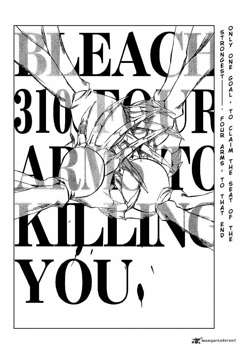 Bleach - Chapter 310 : Four Arms To Killing You