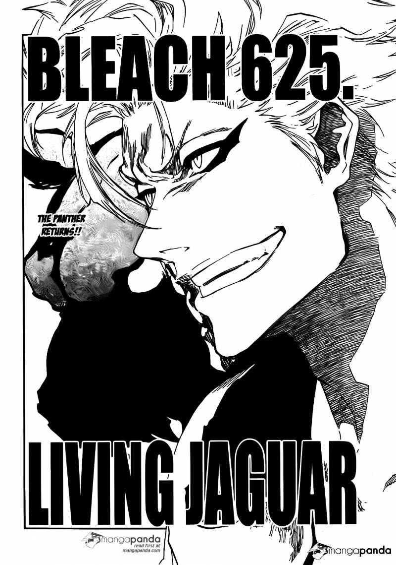 Bleach - Chapter 625 : Living Jaguar