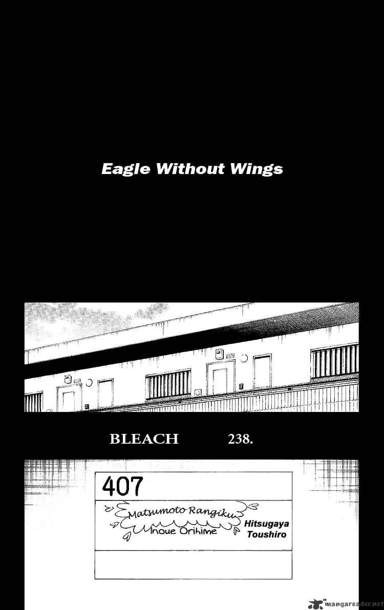 Bleach - Chapter 238 : Eagle Without Wings