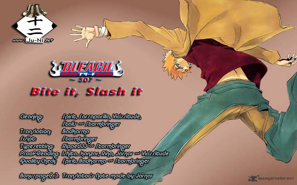 Bleach - Chapter 307 : Bite It, Slash It