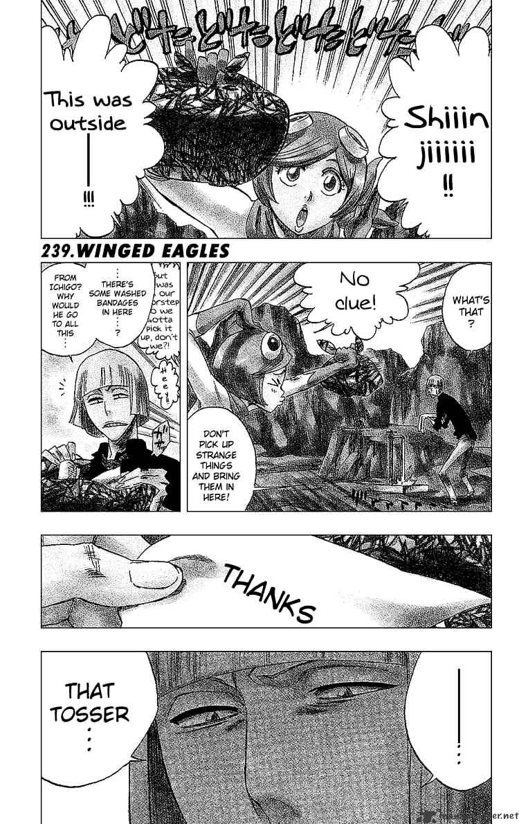 Bleach - Chapter 239 : Winged Eagles