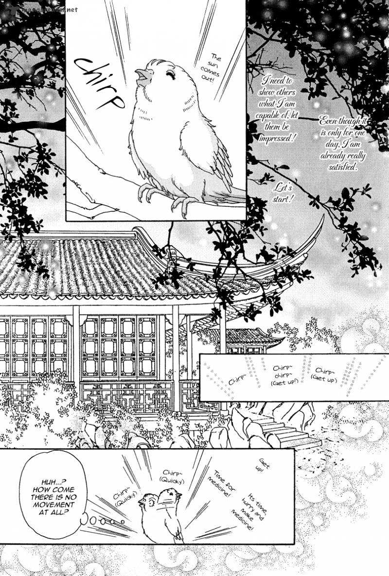 Bird Of Youth - Chapter 1