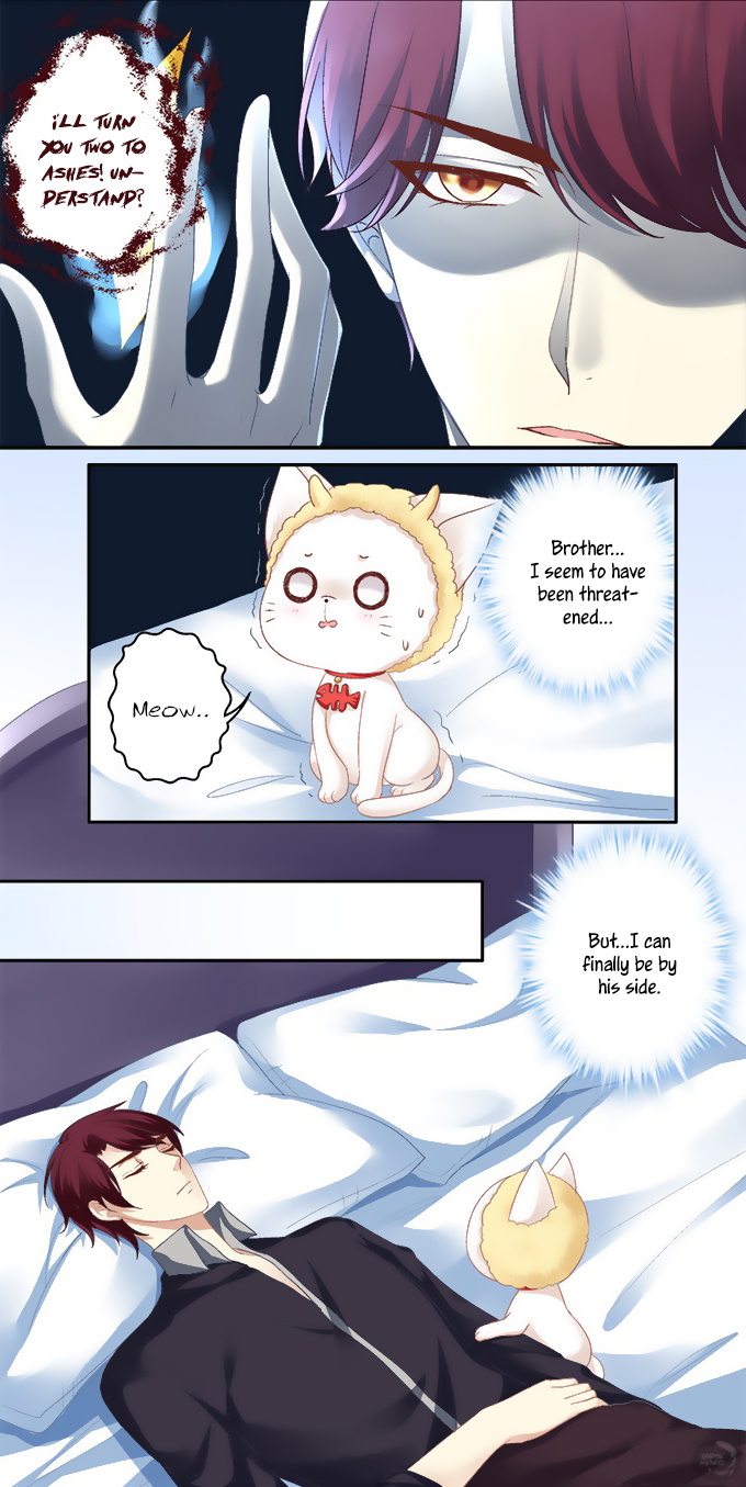 The Temptation Of A Cat Demon - Chapter 1: Can I Kiss You?