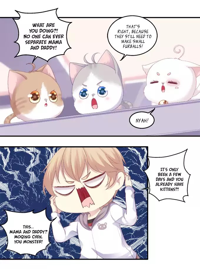 The Temptation Of A Cat Demon - Chapter 43: Chaos!