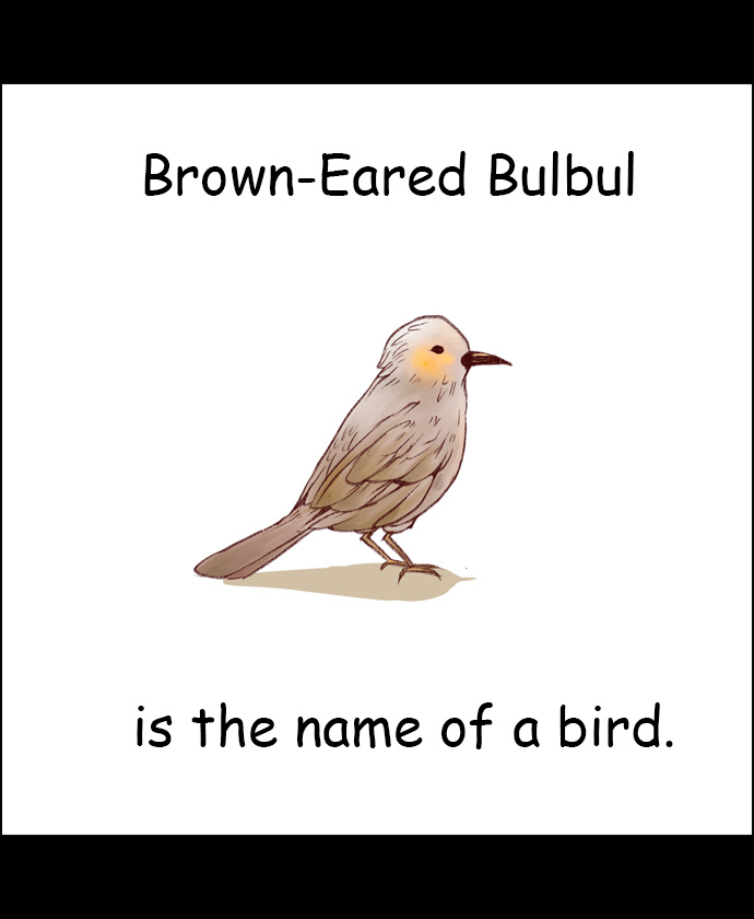 My Girlfriend Is A Real Man - Chapter 14: What Is A Brown-Eared Bulbul