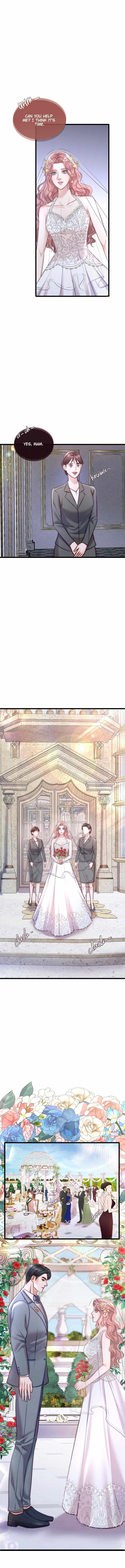 The Billionaire’s Replacement Wife - Chapter 15