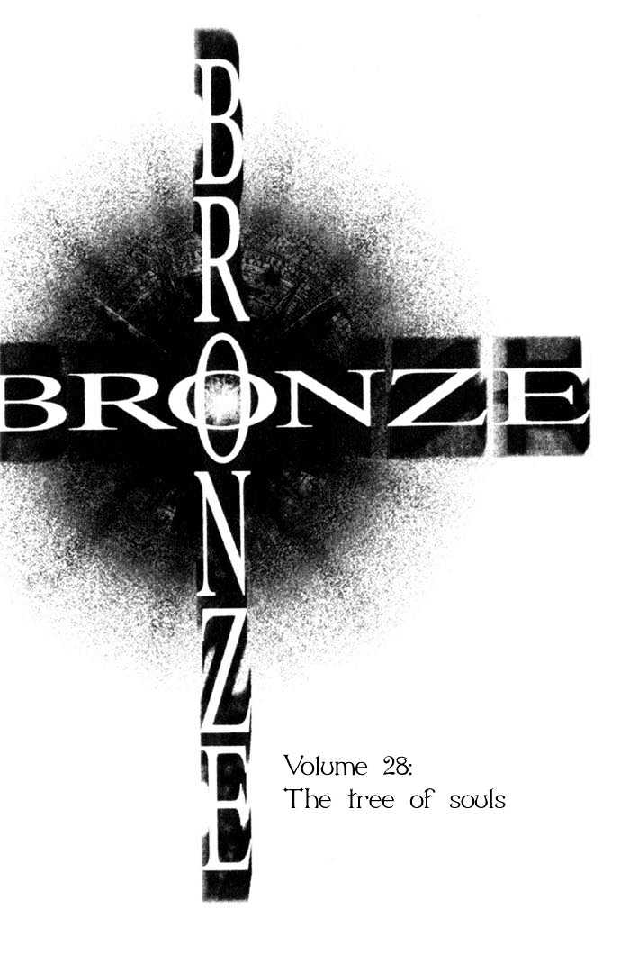 Bronze - Vol.8 Chapter 28