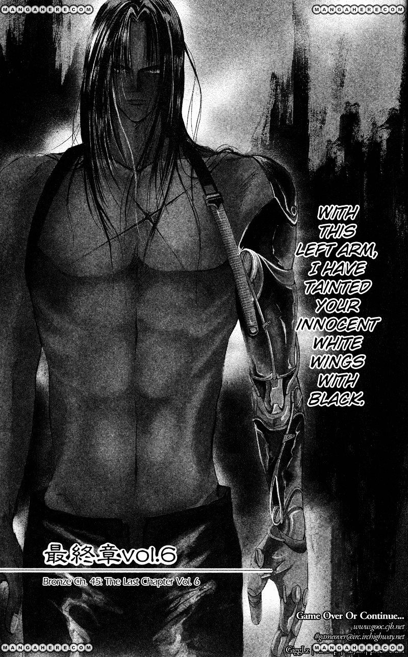 Bronze - Vol.11 Chapter 45