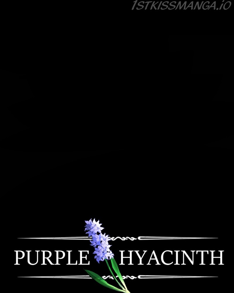 Purple Hyacinth - Chapter 155