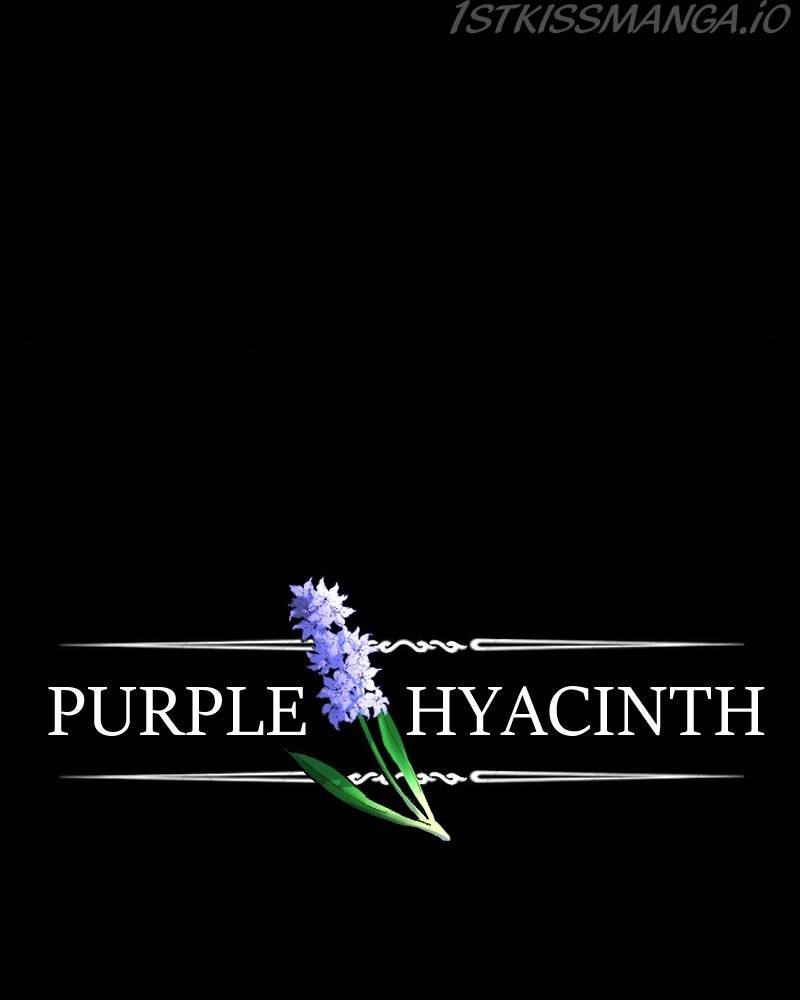 Purple Hyacinth - Chapter 137