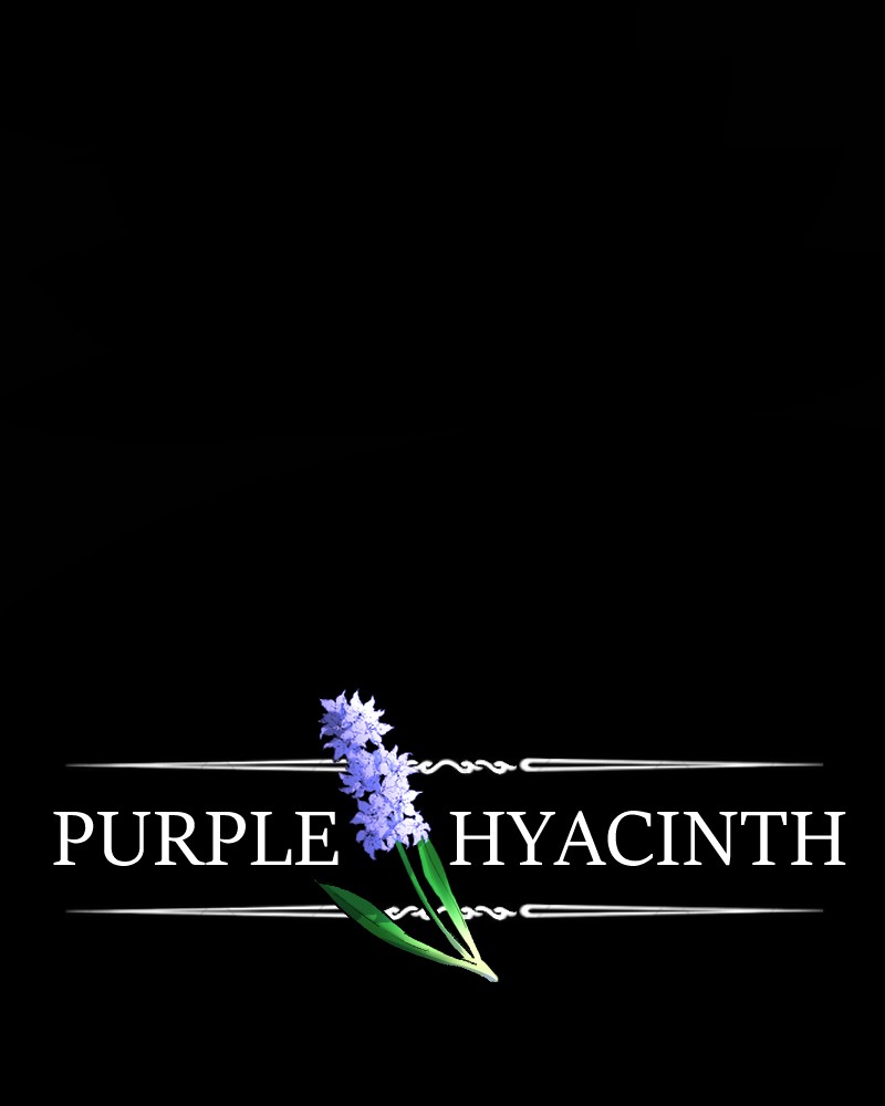 Purple Hyacinth - Chapter 160