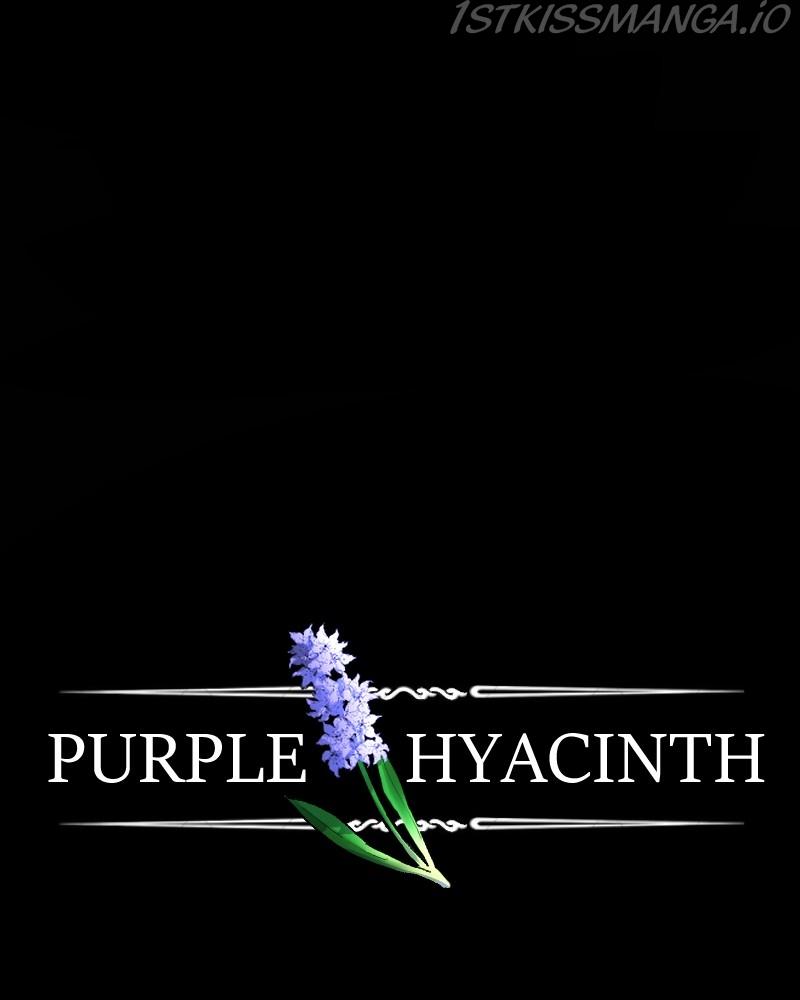 Purple Hyacinth - Chapter 135