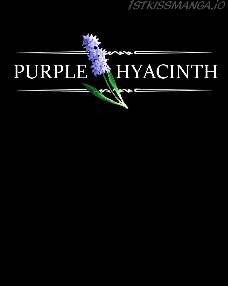 Purple Hyacinth - Chapter 144