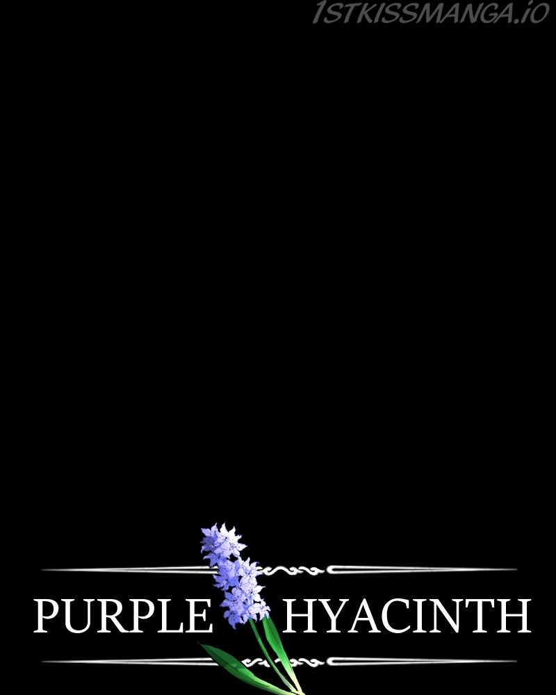 Purple Hyacinth - Chapter 156