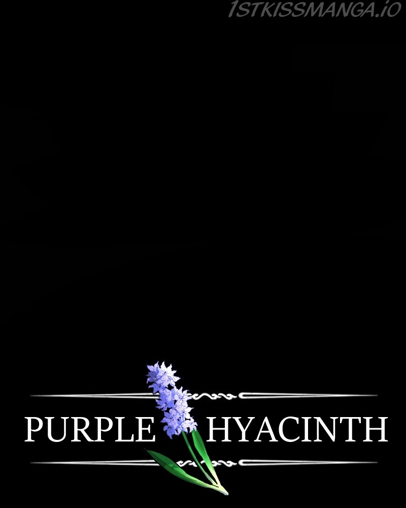 Purple Hyacinth - Chapter 152