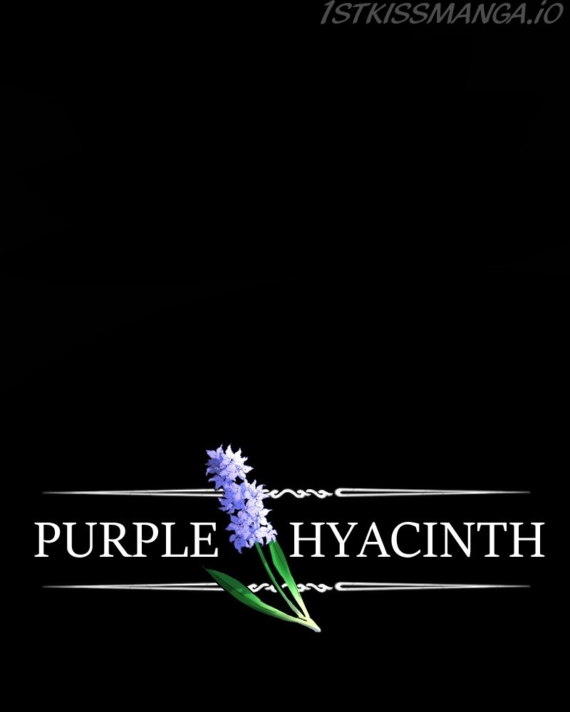 Purple Hyacinth - Chapter 138