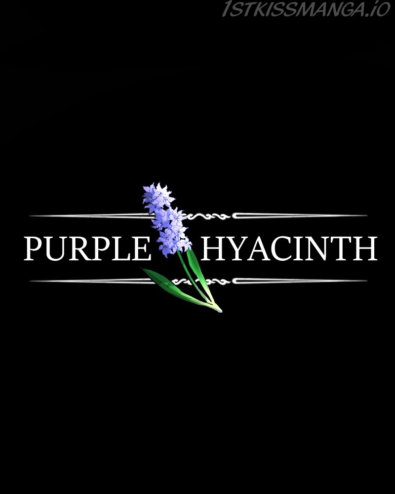 Purple Hyacinth - Chapter 126