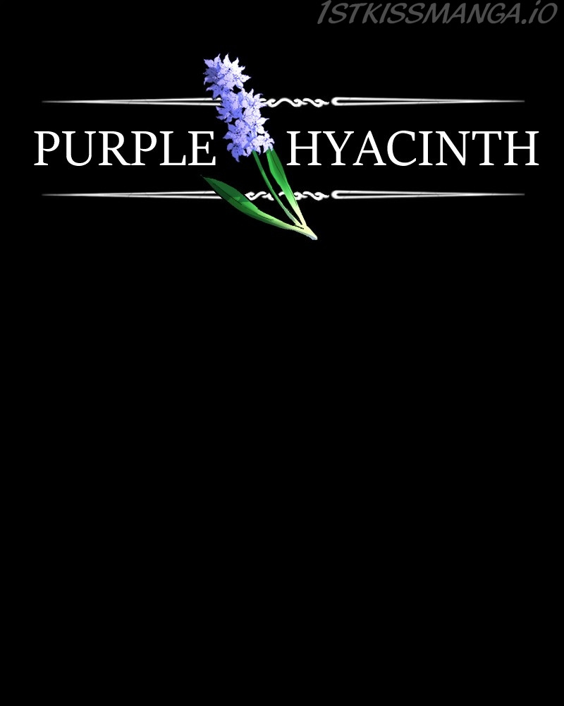 Purple Hyacinth - Chapter 127