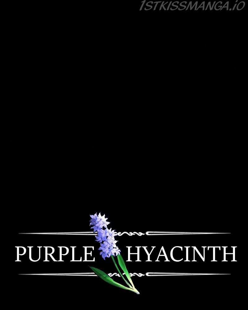 Purple Hyacinth - Chapter 140