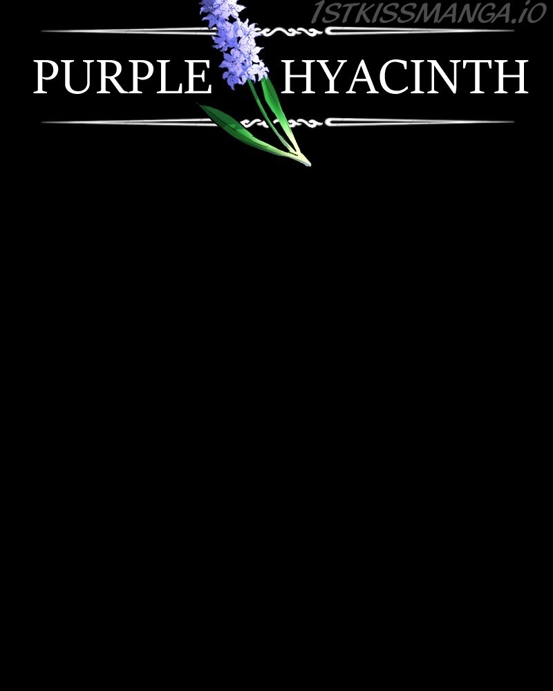 Purple Hyacinth - Chapter 136