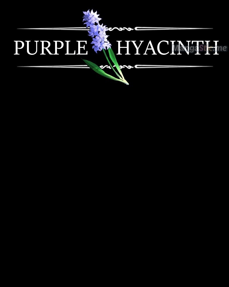 Purple Hyacinth - Chapter 146