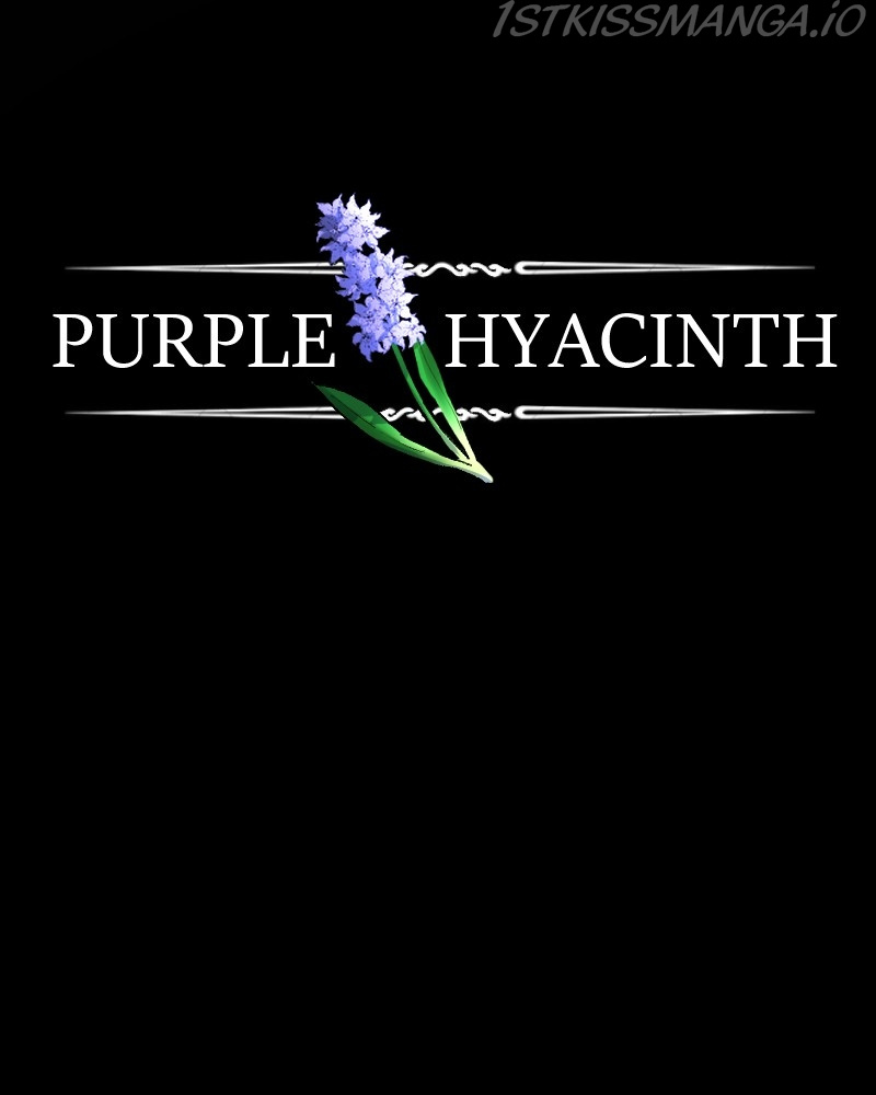 Purple Hyacinth - Chapter 147