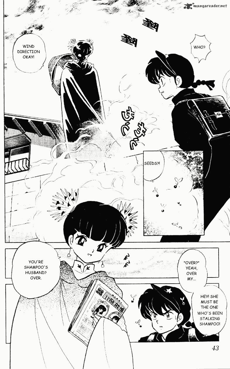 Ranma 1/2 - Chapter 29