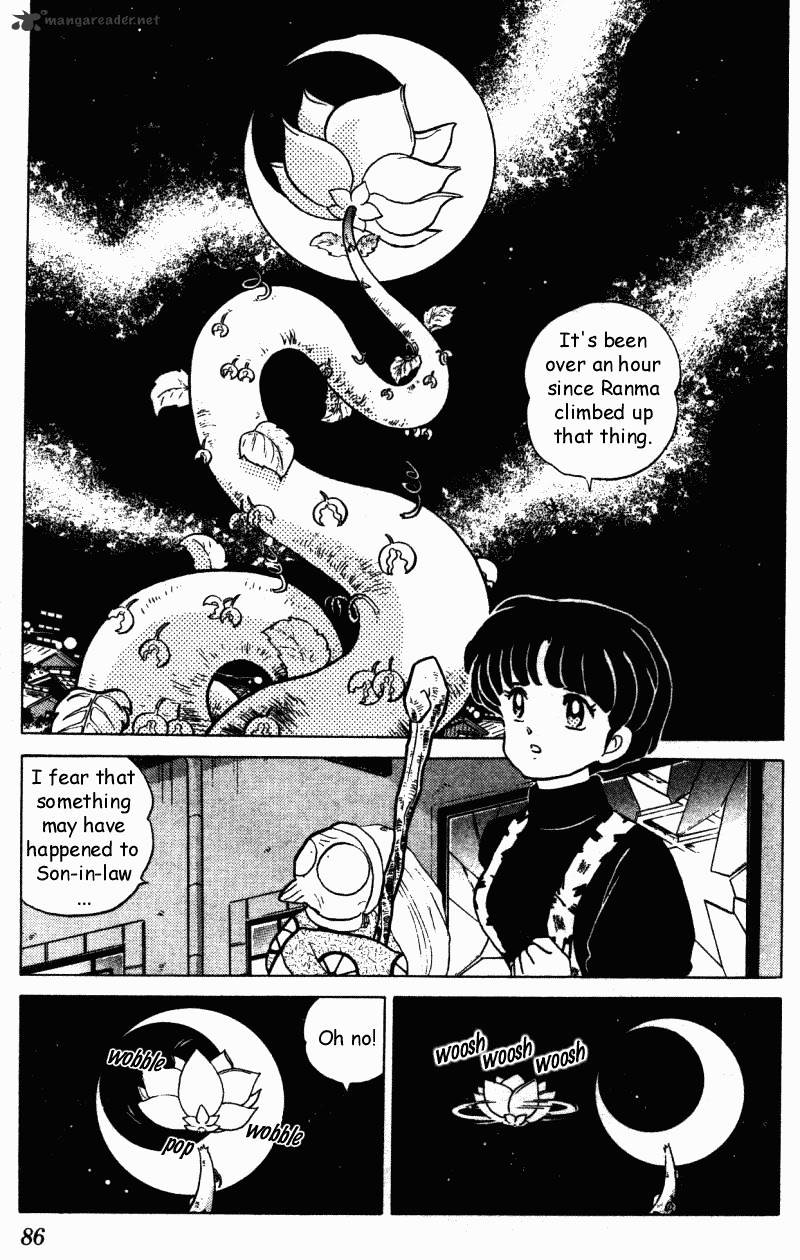 Ranma 1/2 - Chapter 29