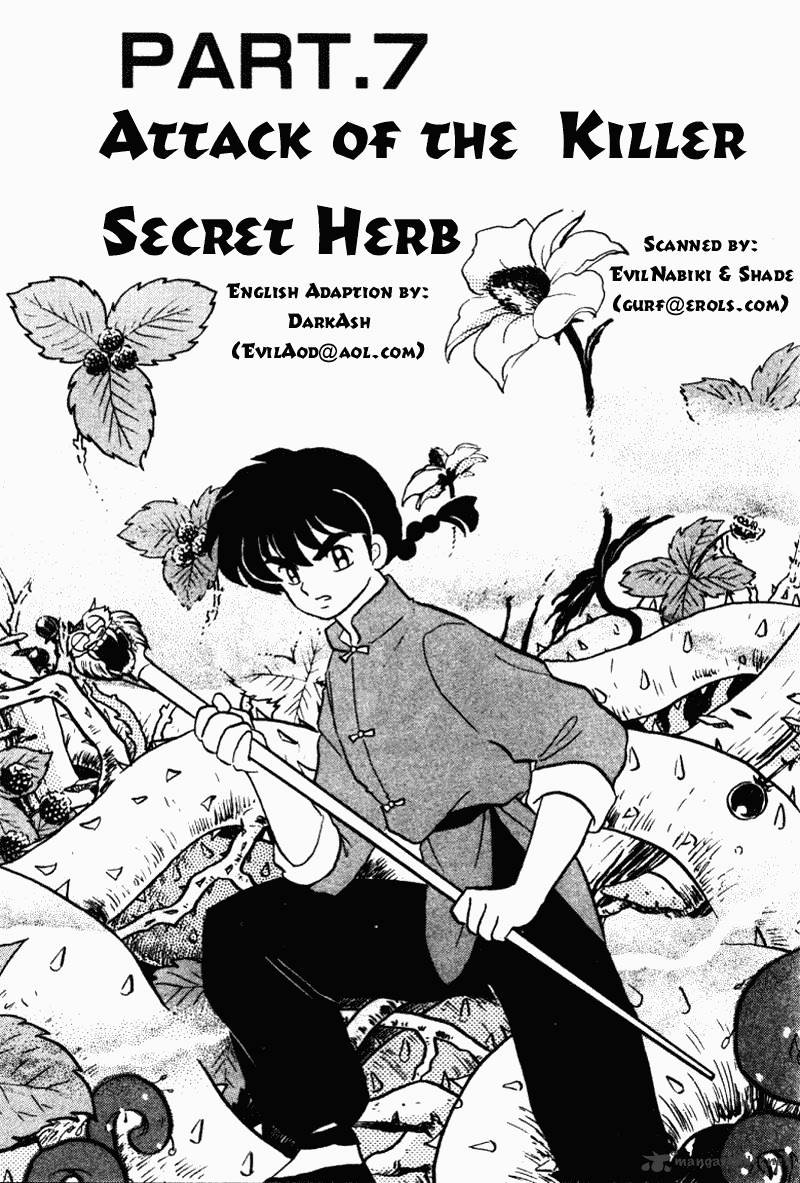 Ranma 1/2 - Chapter 29