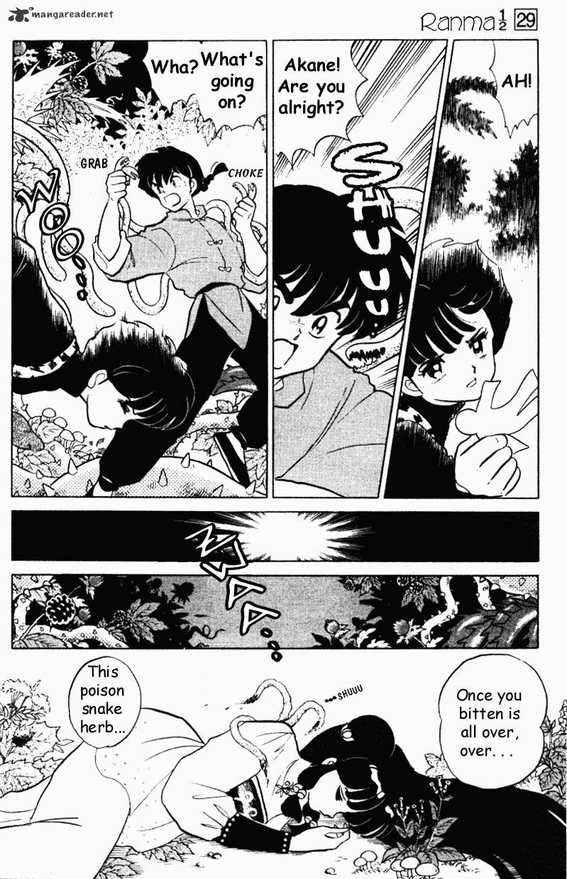 Ranma 1/2 - Chapter 29