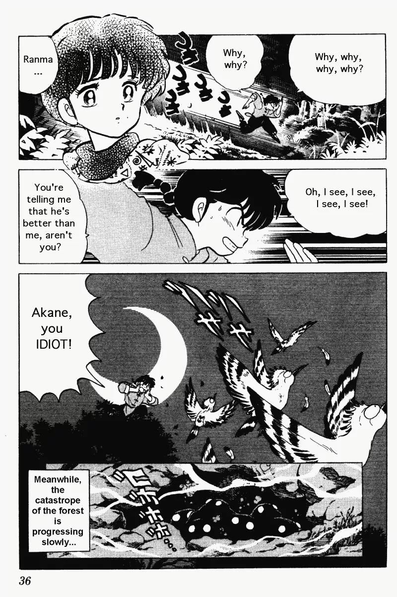 Ranma 1/2 - Chapter 269: Water Of Life