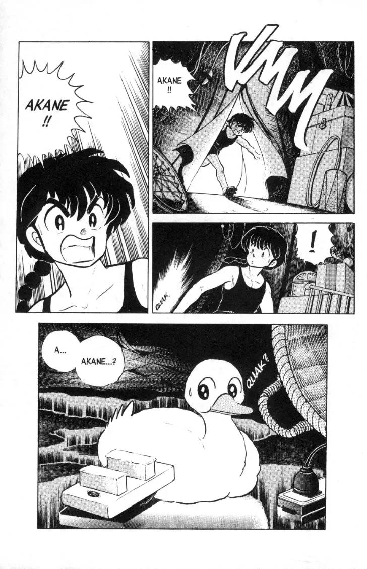 Ranma 1/2 - Chapter 97: Akane Become A Duck