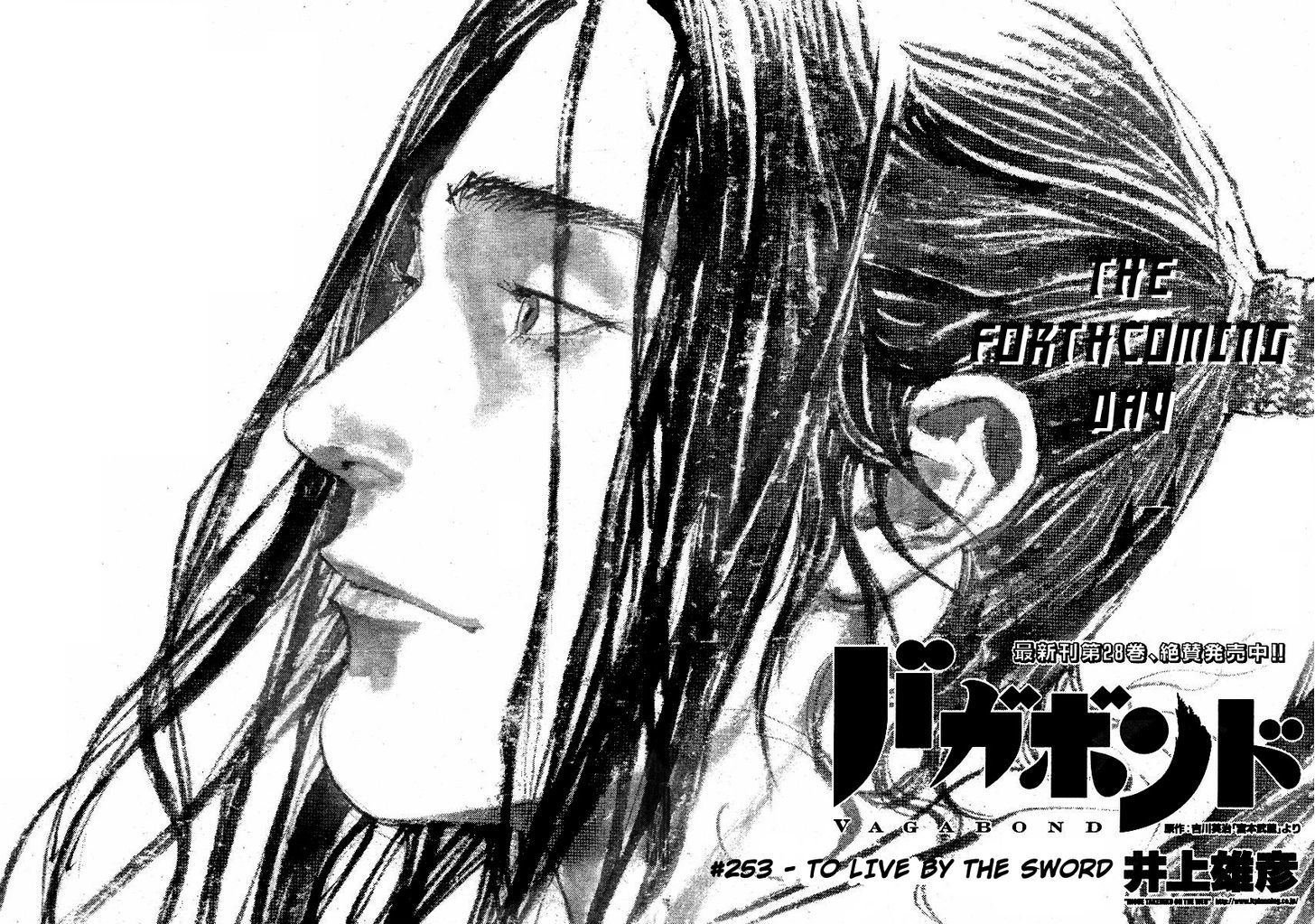 Vagabond - Vol.29 Chapter 253 : To Live By The Sword