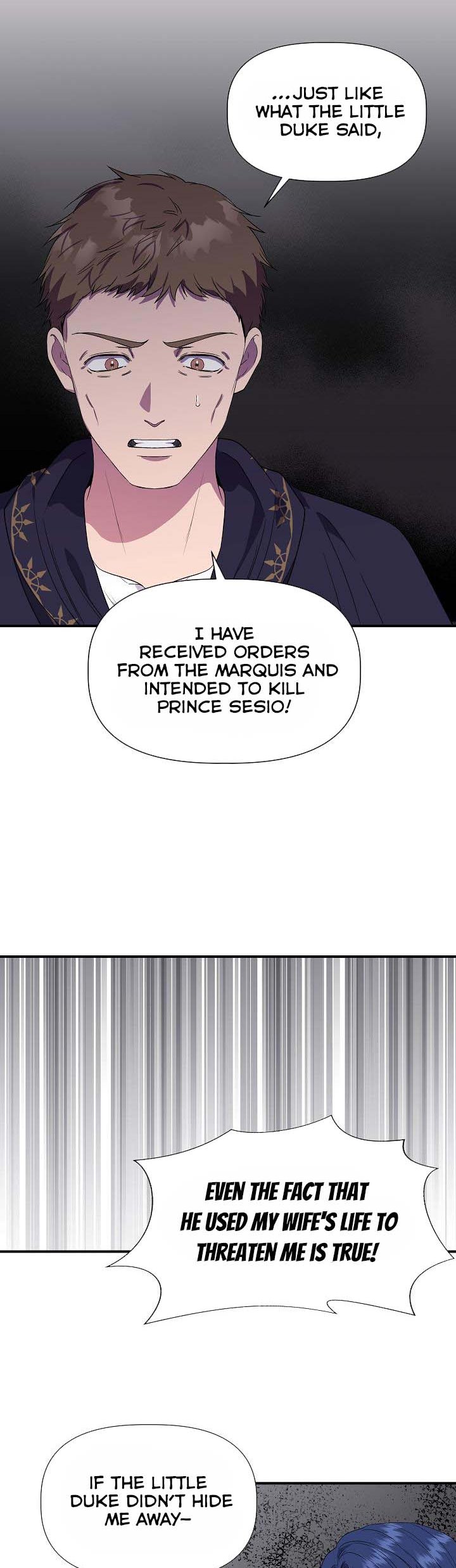 Cinderella Wasn’t Me - Chapter 63.5