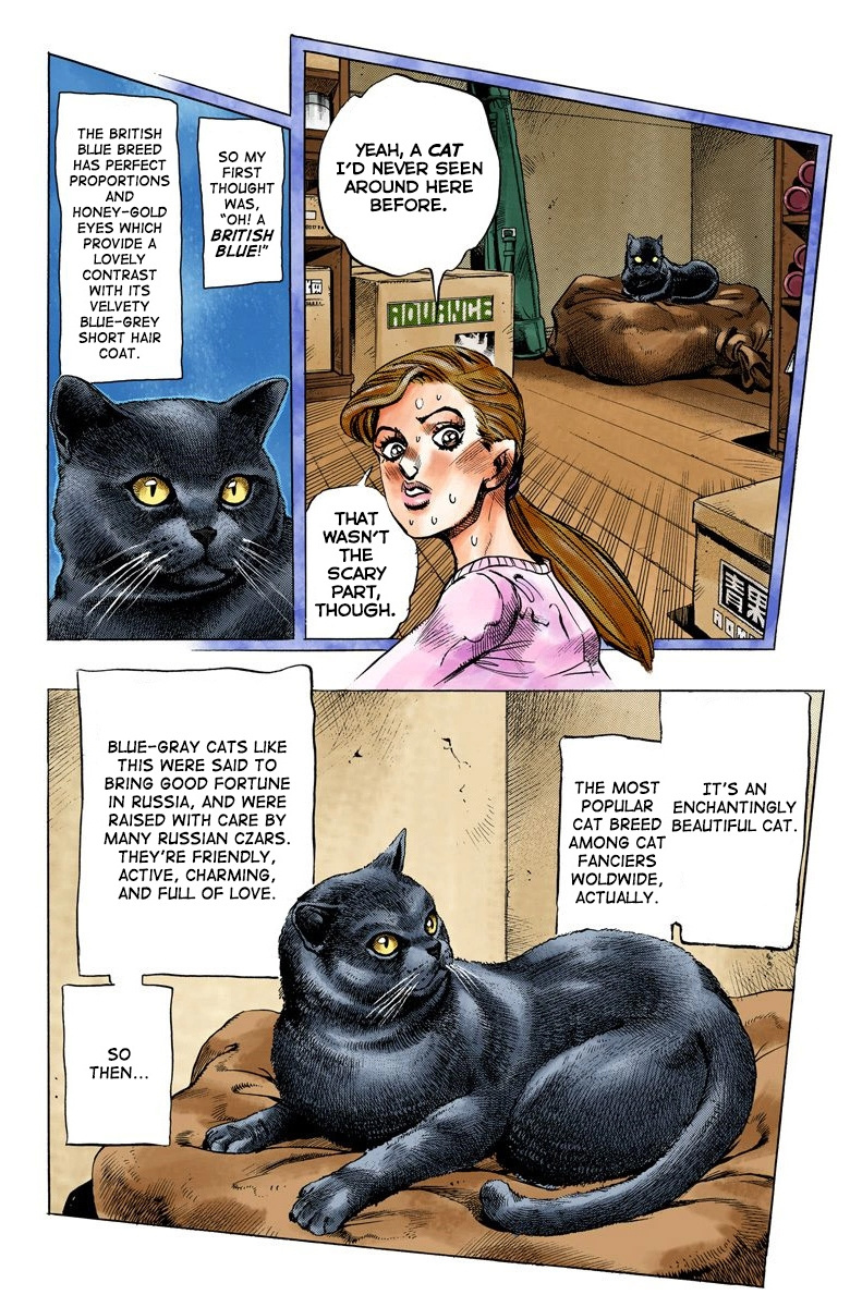 Diamond Wa Kudakenai - Vol.14 Chapter 127: The Cat Who Loved Kira Part 1