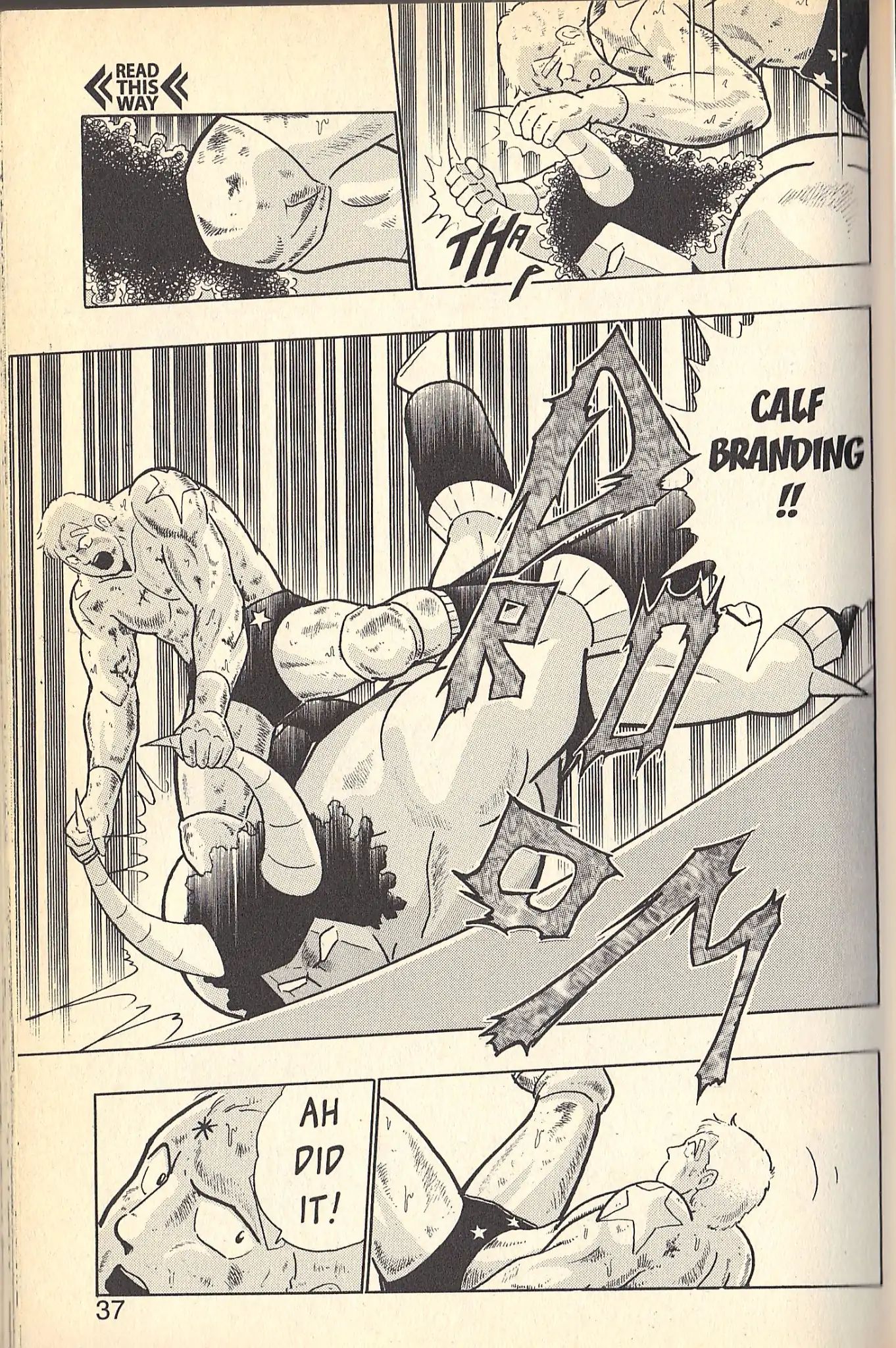 Kinnikuman Nisei - Vol.9  Special Kinnikuman Vs Terryman Part 2