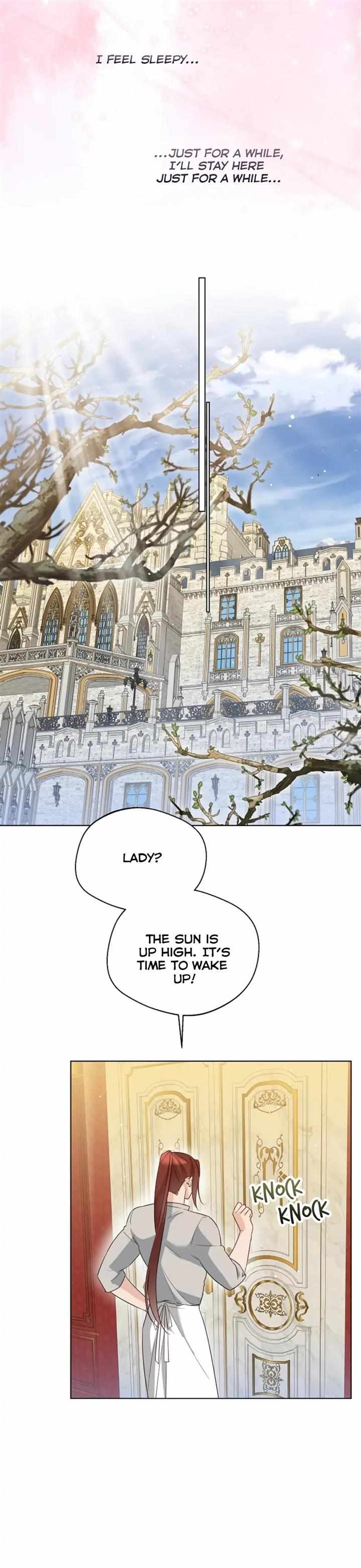 Lady Crystal Is A Man - Chapter 40