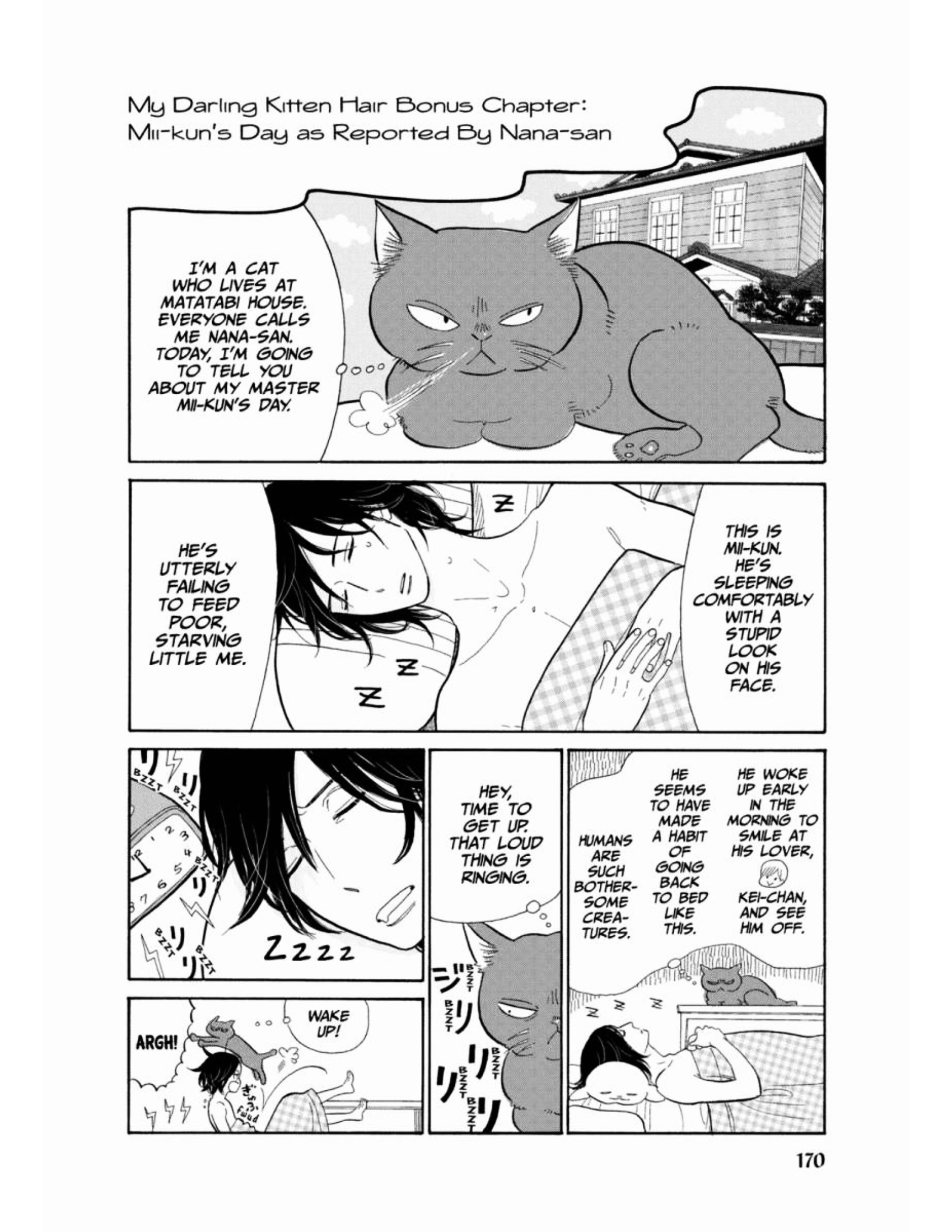 Itoshi No Nekokke - Vol.2 Chapter 17.5 : As Reported By The Cats