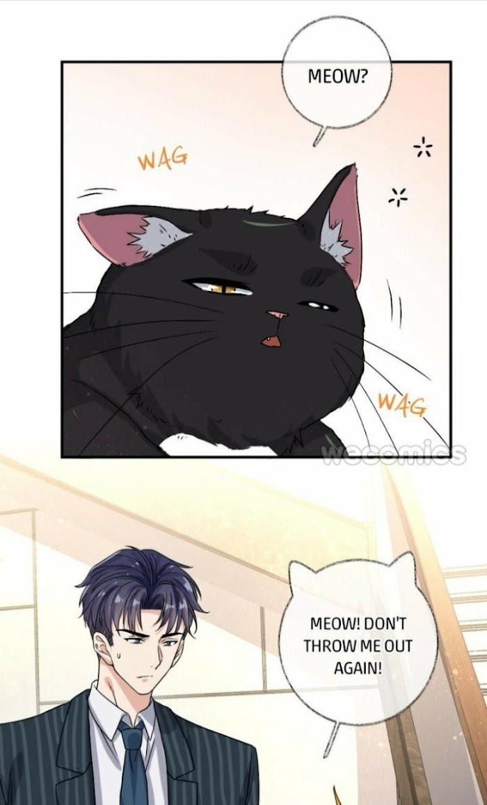 Pay Me Back, Mr. Cat - Chapter 8