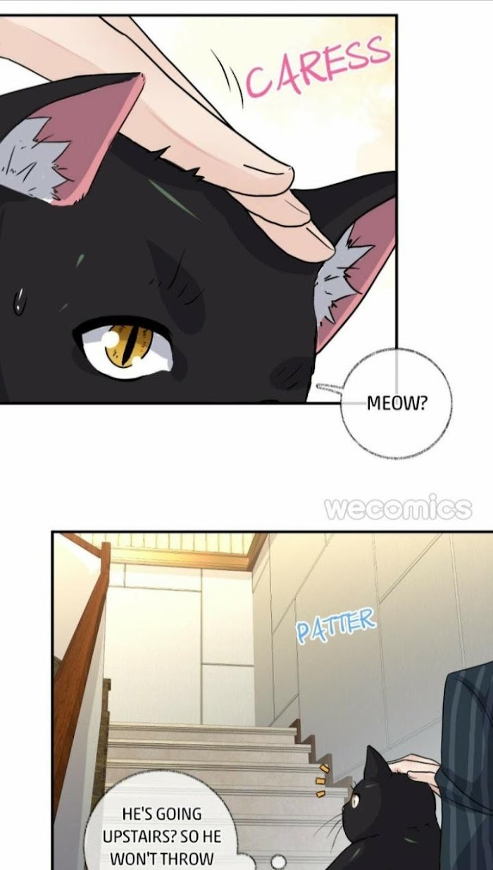 Pay Me Back, Mr. Cat - Chapter 8