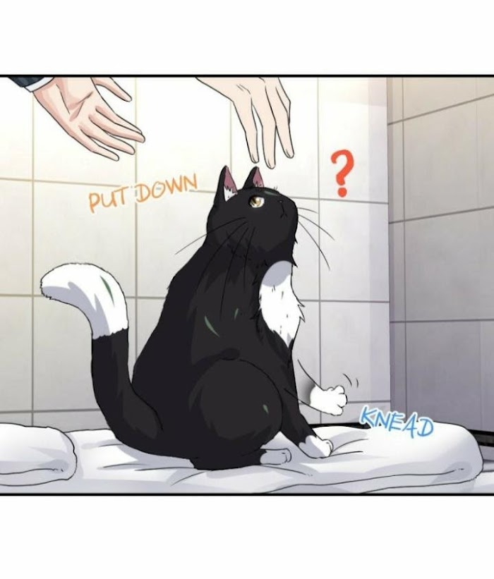 Pay Me Back, Mr. Cat - Chapter 8