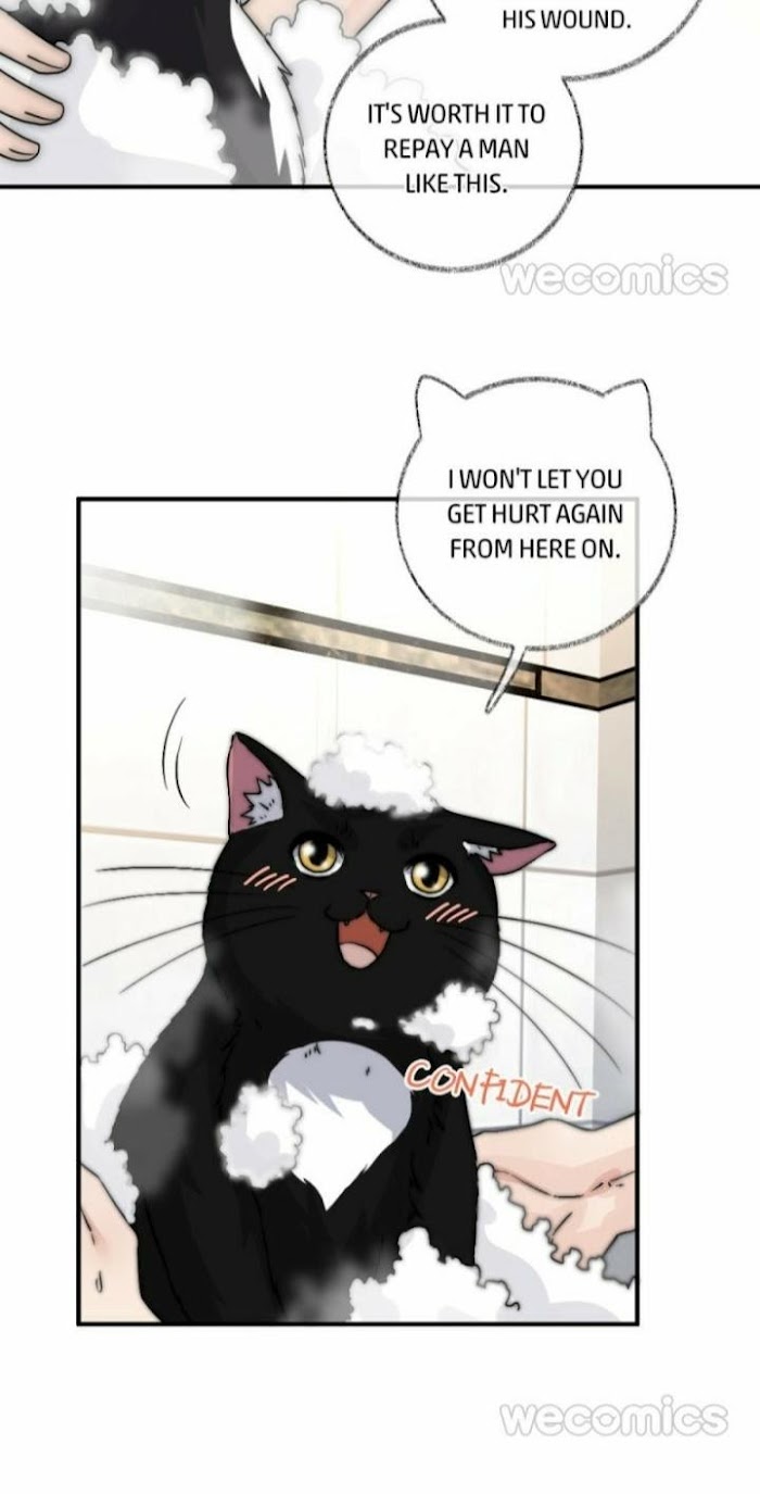 Pay Me Back, Mr. Cat - Chapter 8