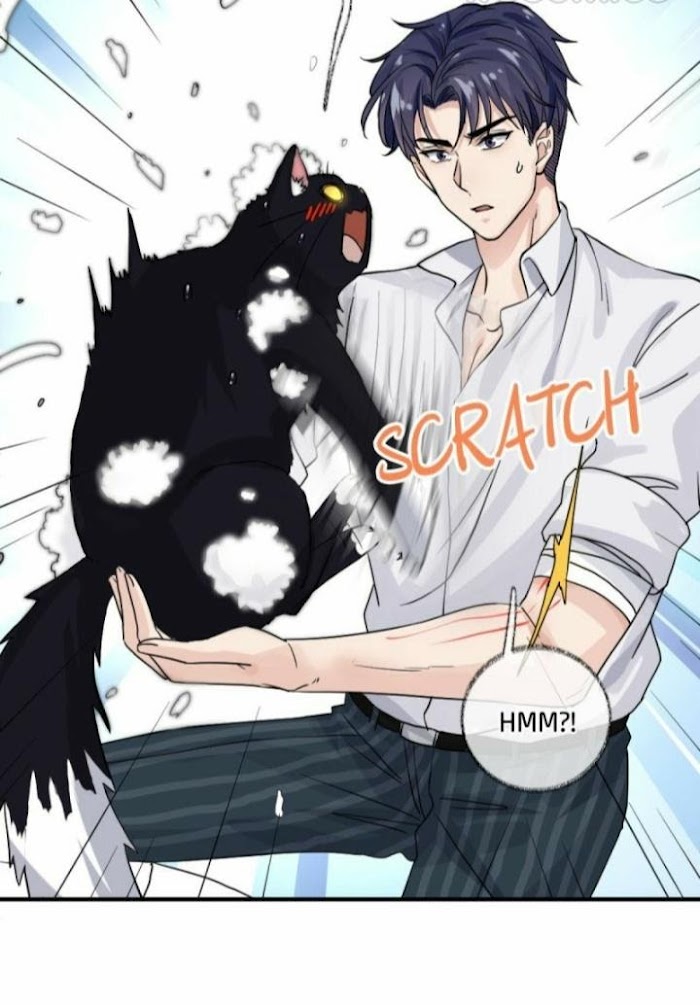 Pay Me Back, Mr. Cat - Chapter 8