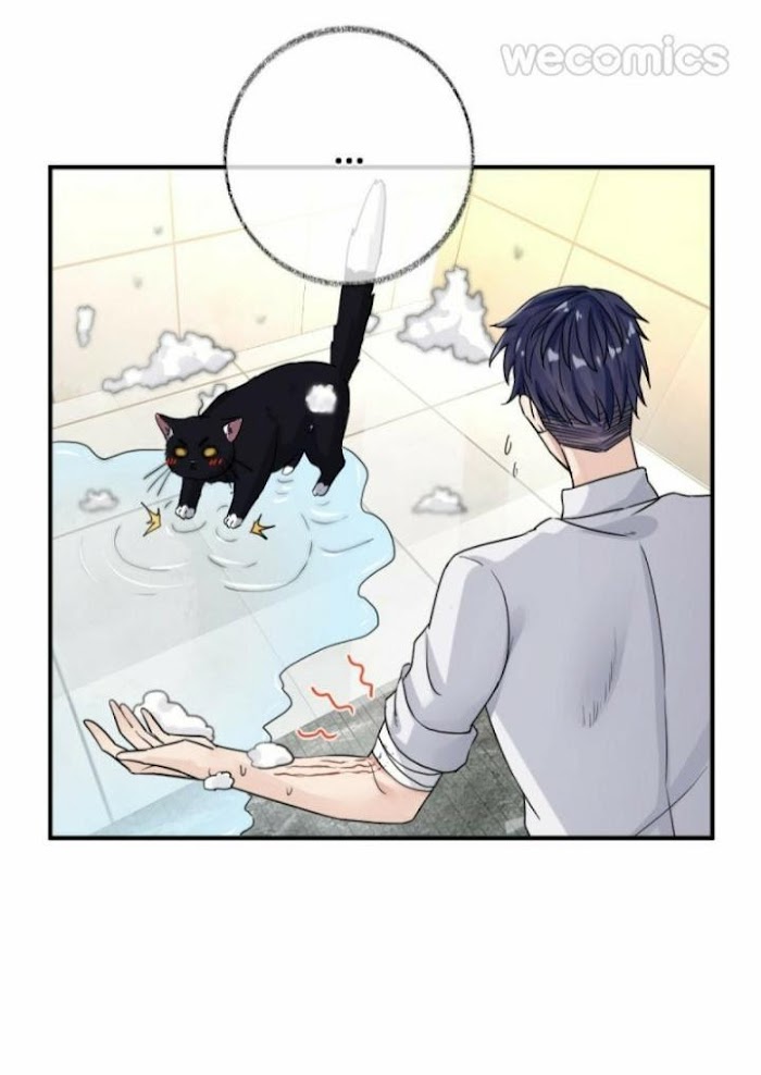 Pay Me Back, Mr. Cat - Chapter 8