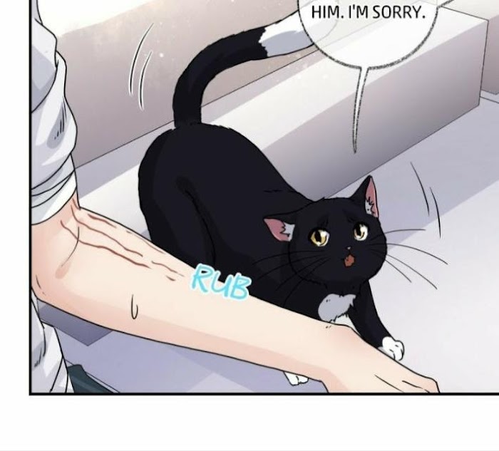 Pay Me Back, Mr. Cat - Chapter 8