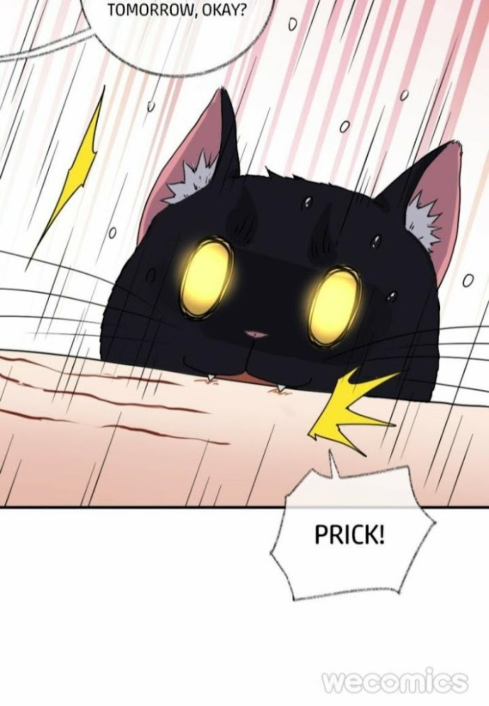 Pay Me Back, Mr. Cat - Chapter 8