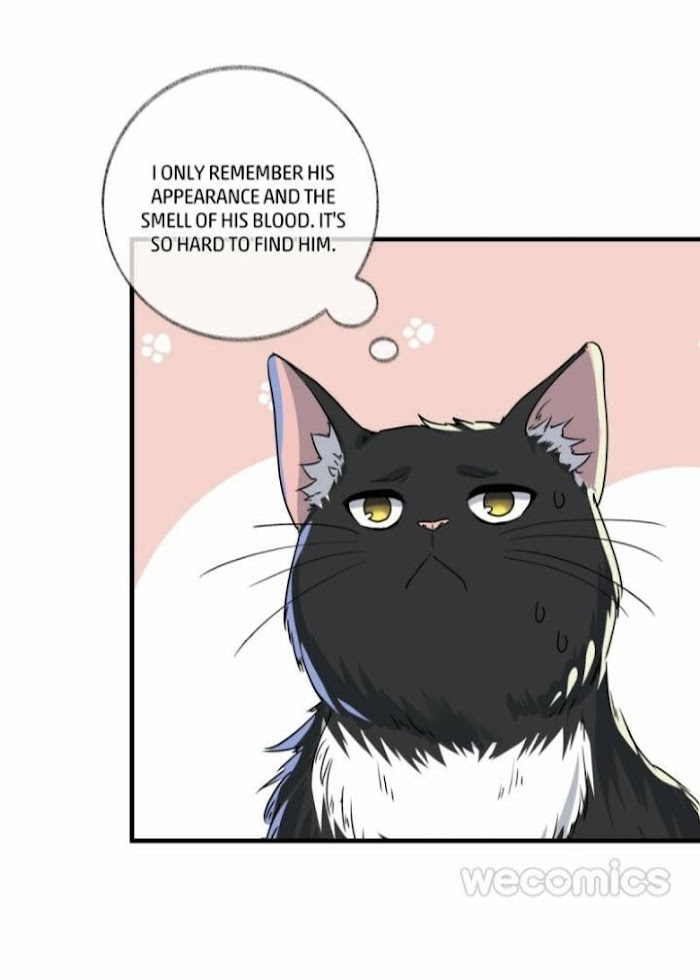 Pay Me Back, Mr. Cat - Chapter 3