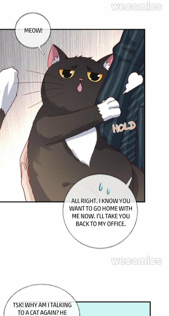 Pay Me Back, Mr. Cat - Chapter 15