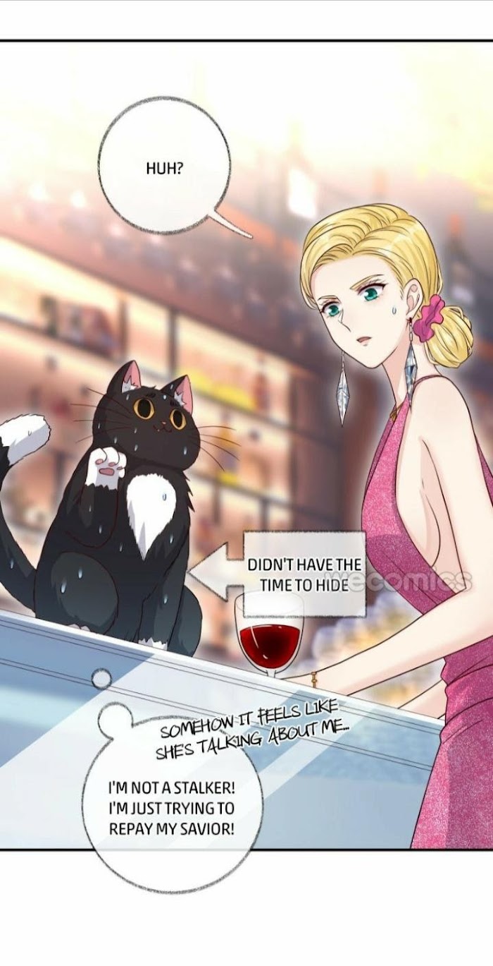 Pay Me Back, Mr. Cat - Chapter 15